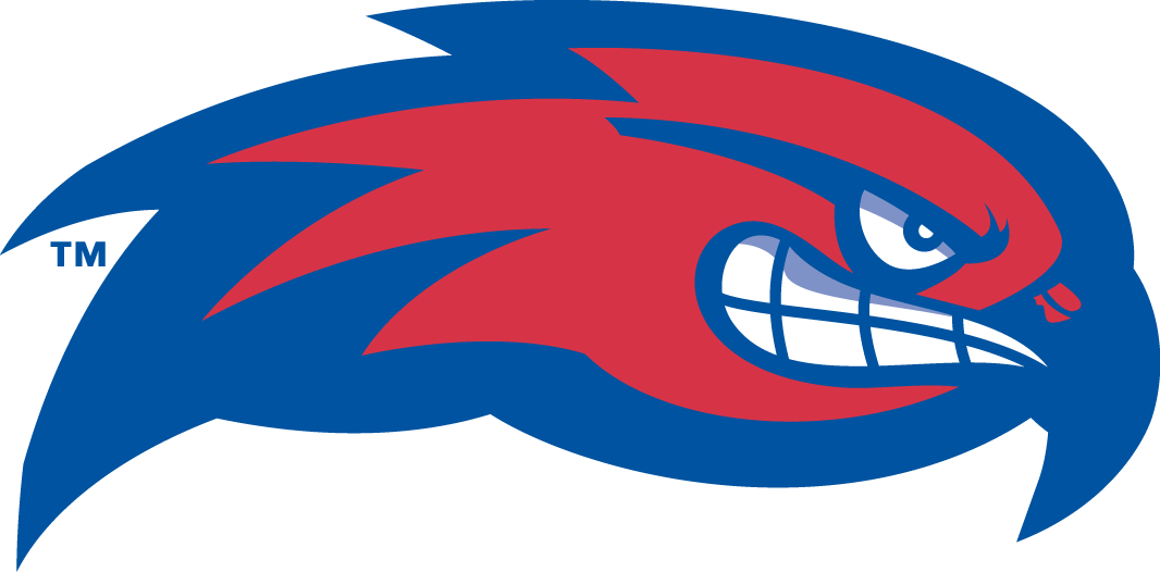 UMass Lowell River Hawks 2005-Pres Partial Logo diy fabric transfer